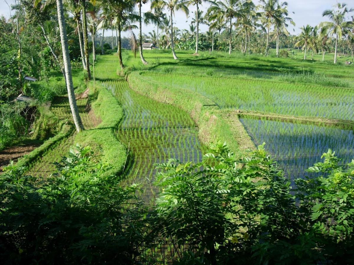 Awan Putih Resort 파양간 외부 사진