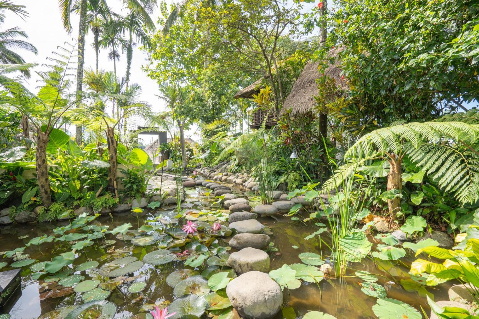 Awan Putih Resort 파양간 외부 사진