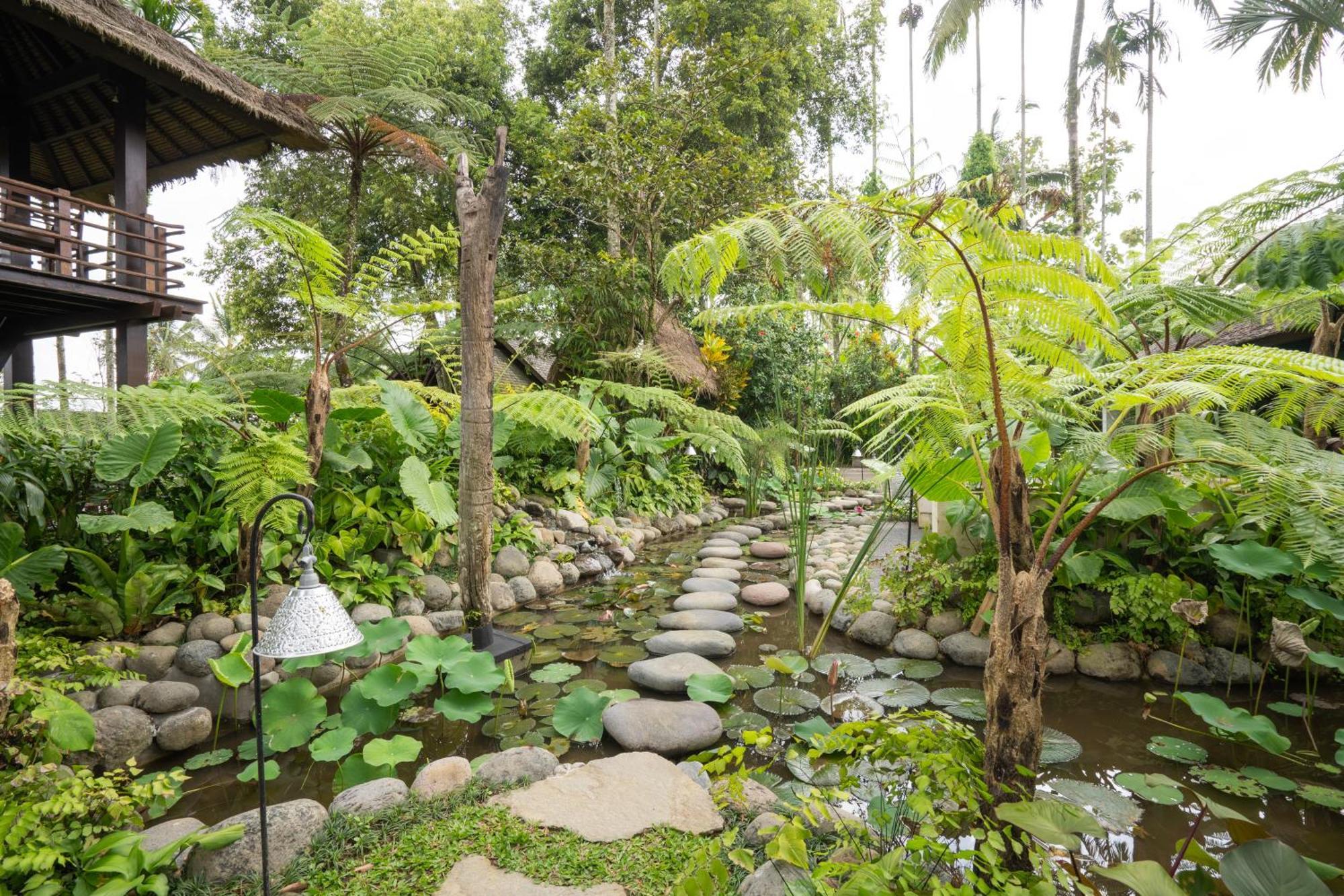 Awan Putih Resort 파양간 외부 사진